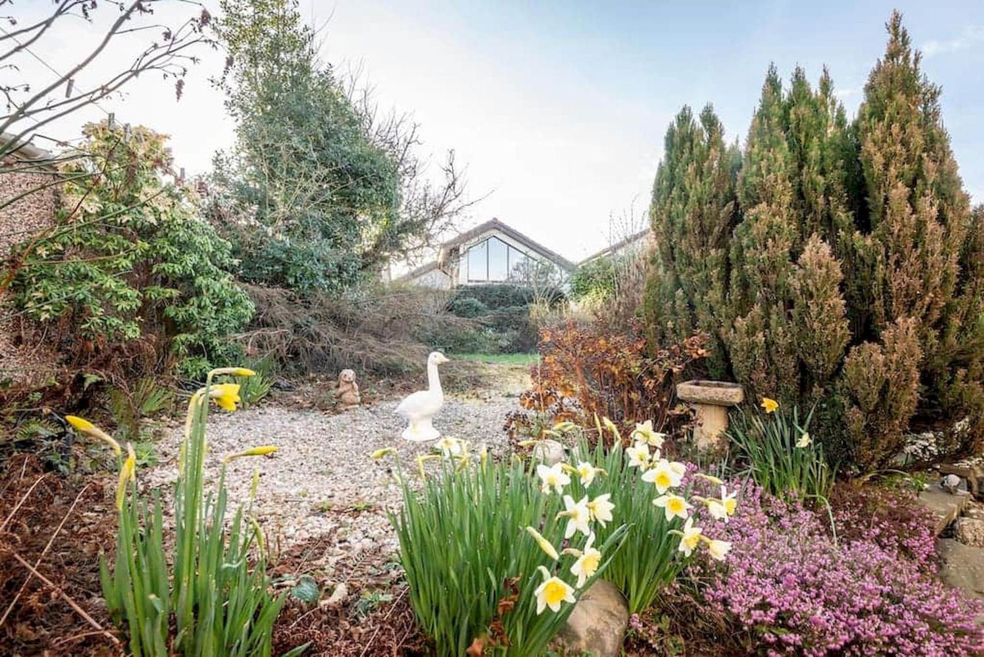 Radernie Place - 3 Bedroom House - Sleeps 6 St Andrews Buitenkant foto